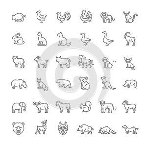 Line animals consepts, Icons set