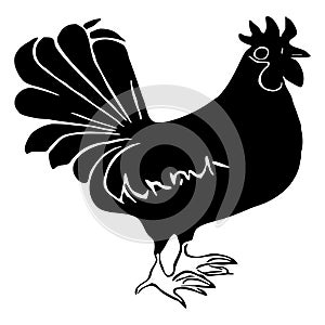 Black rooster on a white background. Animal illustration