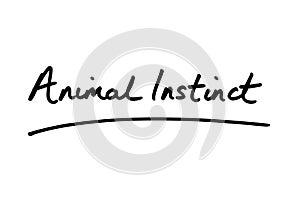 Animal Instinct