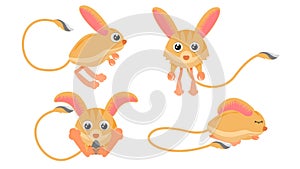 Animal Jerboa Stand Sleep Eating A Seed Vector Design Style Elements Fauna Wildlife