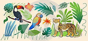 Animal jungle. Toucan bird, parrot and leopard, zoo safari. Nature pattern spot, tropical African forest. Drawing flower