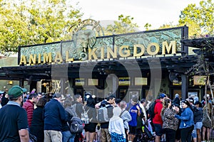 Animal Kingdom Entrance, Disney World, Travel