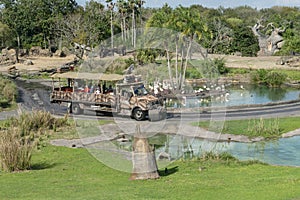 Animal Kingdom, Disney World, Travel, Florida