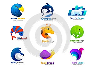 Animal logo collection eagle, killer whale, polar bear, fish, sheep, ram, giraffe, elephant, wolf, snail, spider, bird symbol