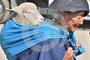 Animal market in Otavalo, Ecuador