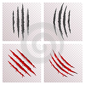 Animal Monster Claws Blood Bleeding Scratches Torn Material Template Set Transparent Background Mock Up Design Vector
