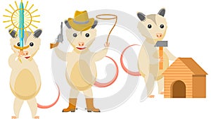 Animal Opossum With A Sword In Hand, Cowboy With Revolver Lasso Boots And Hat, Building A Dog House Vector