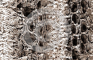 Animal orginal snake skin surface pattern