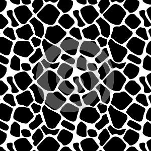Animal pattern design black and white