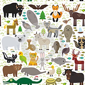 animal pattern