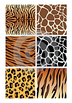 Animal patterns Seamless vector clipart EPS
