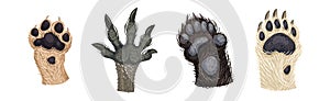 Animal Paw and Animalistic Pets Claw Vector Set
