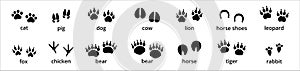 Animal paw and foot print trail. Contains footprint trace of fox, bear, grizzly, chicken, horse, tiger, cow, pig, dog, and rabbit