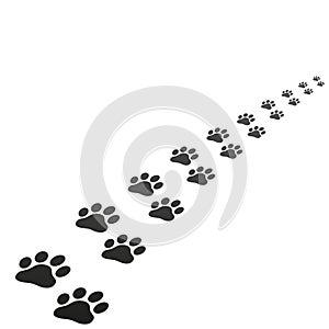 Animal paw print trace vector illustration