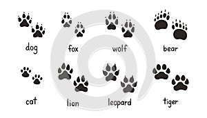 Animal paw prints set, vector different animals footprints. Dog fox wolf bear cat lion leopard tiger