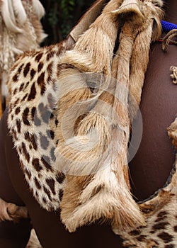 Animal pelt on Zulu warrior South Africa photo