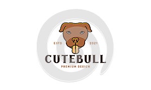 Animal pets dog American Pit Bull Terrier head colorful brown logo design vector icon symbol graphic illustration