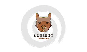 Animal pets dog American Pit Bull Terrier head colorful brown logo design vector icon symbol graphic illustration