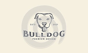 Animal pets dog American Pit Bull Terrier head vintage logo design vector icon symbol graphic illustration