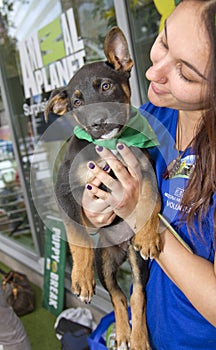 Animal Planet Puppy Bowl Pet Adoption