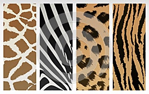 Animal print photo