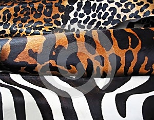 Animal Print img