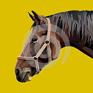 animal print horse pop art portrait style poster design
