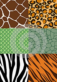 Animal print seamless patterns