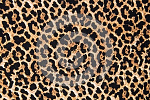 Animal print textile texture. Leopard fur background