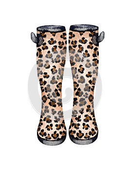 Animal print wellies collection. Rubber boots autumn fall concept. Watercolor illustration.