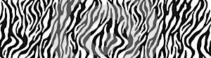 Animal print zebra skin stripes texture. Jungle wild style wallpapers. Black and white seamless pattern. Vector