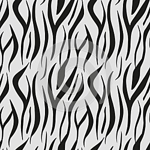 Animal print, zebra texture background black and white colors