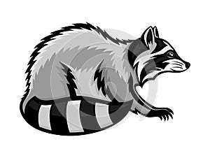 Animal raccoon icon.