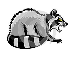 Animal raccoon icon.