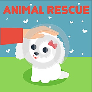 Animal Rescue Illustration Vector Art Logo