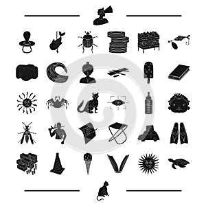 Animal, rest, insect and other web icon in black style. travel, Desert, business icons in set collection.