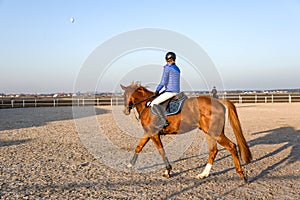 Animal for riding. Young woman taking care of her horse .