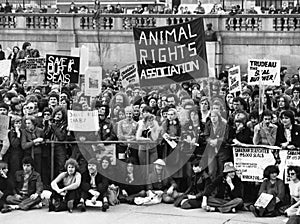 Animal Rights Demonstration