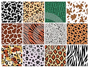 Animal seamless patterns. Mammals, predators fur, reptile skin prints, leather backgrounds, zebra jaguar and tiger