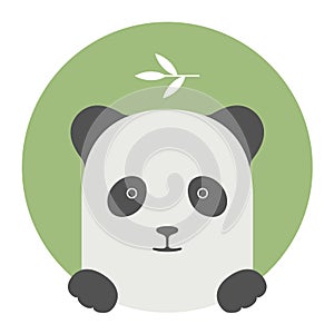 Animal set. Portrait in flat graphics - Panda