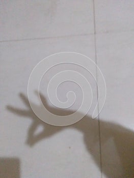 The animal shadow pic 3