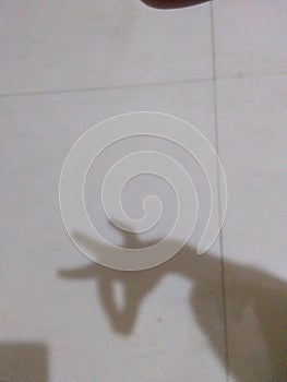 The animal shadow pic 4