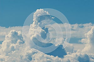 Animal shaped cloud resembling meerkat in a blue sky