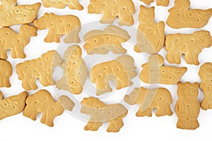 Animal shaped cracker isolated