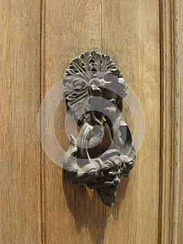 An animal shaped, door handle is on the old wooden