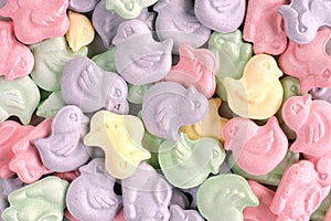 Animal shaped easter candy photo