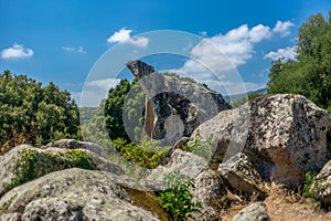 Animal shaped rock formations in Corsica - 3