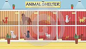 Animal Shelter Concept. Lonely Animals In Cages Wait For The Adoption. Rehabilitation or Adoption Center for Stray Pets