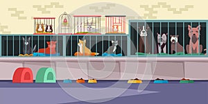 Animal shelter, pet shop flat vector illustration