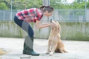 Animal shelter volunteer feeding dogs